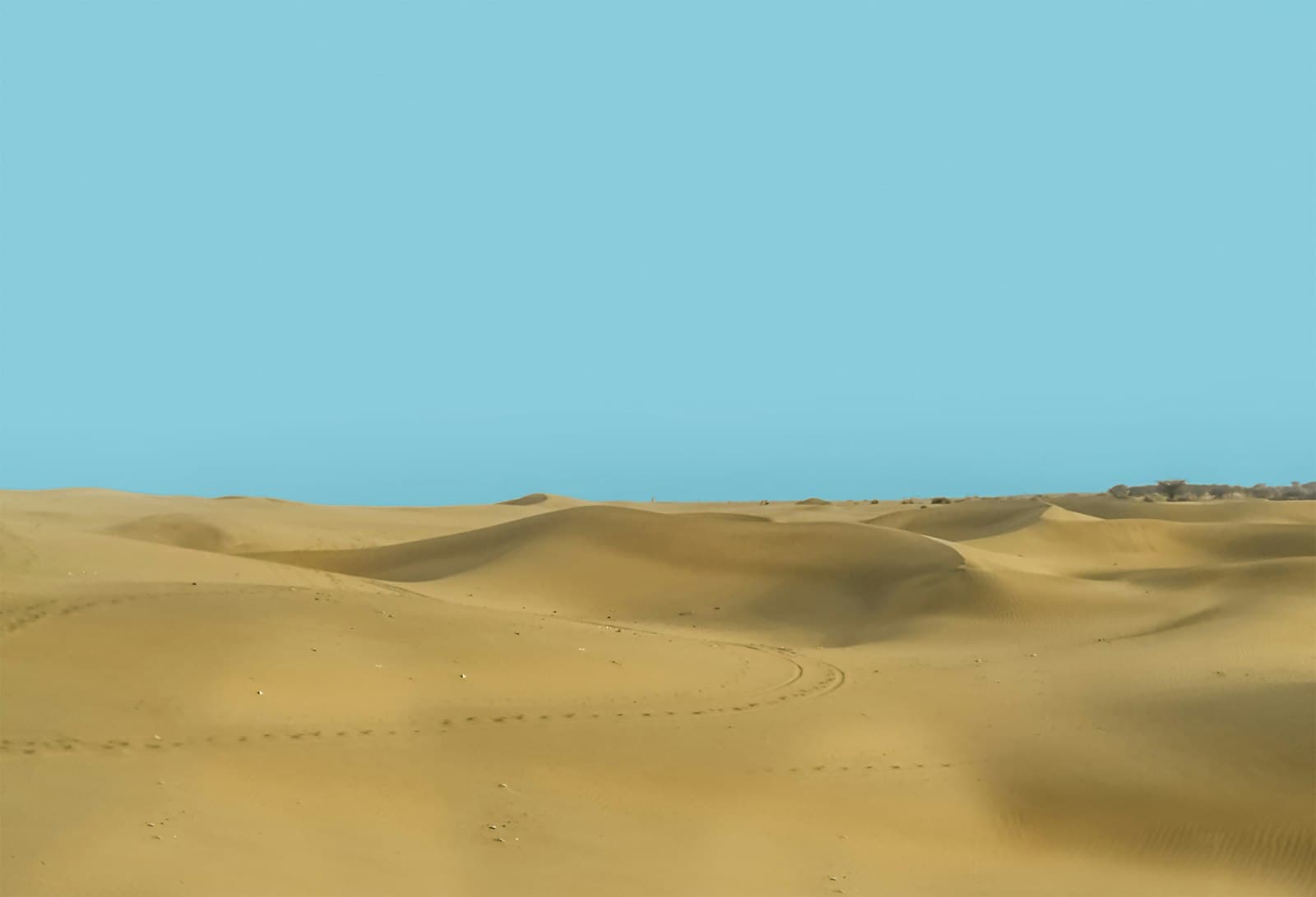 Jaisalmer wedding venue
